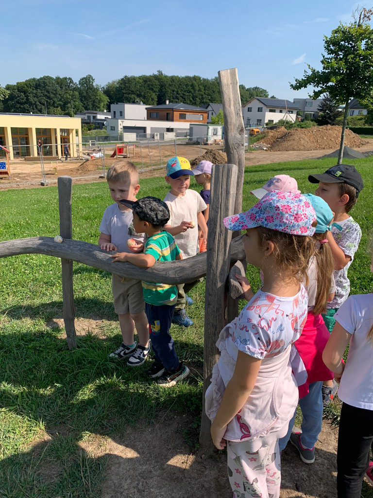 WhatsApp Image 2026-01-15 at 10.43.27.jpeg