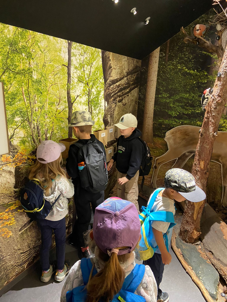 WhatsApp Image 2026-01-15 at 10.43.26.jpeg