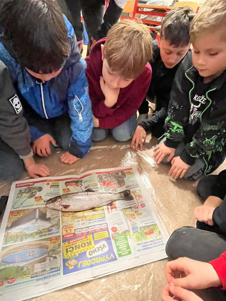 WhatsApp Image 2026-03-26 at 08.55.30 (1).jpeg