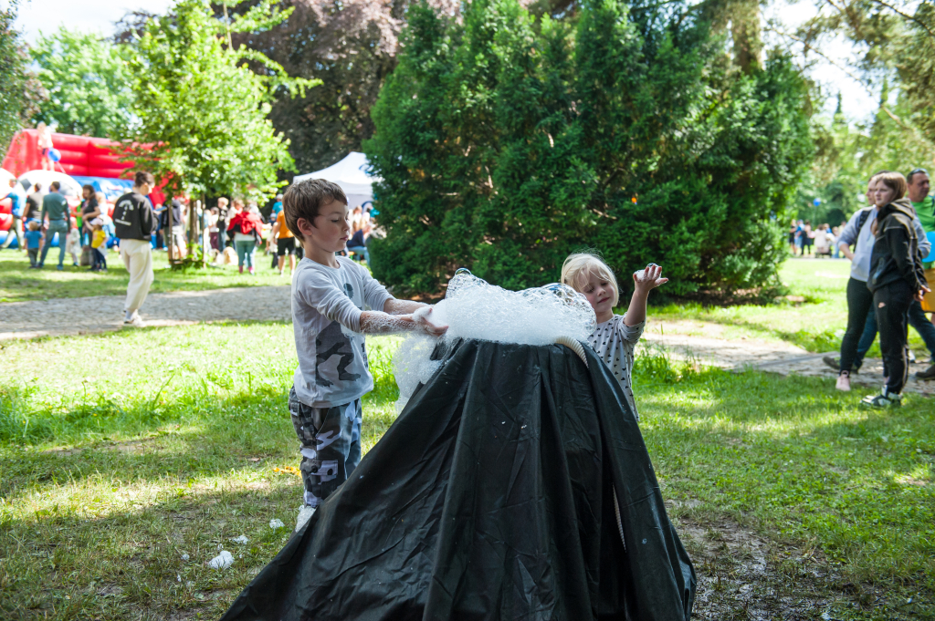 DSC_8380.jpg