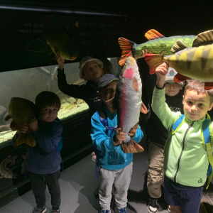 Příměstský tábor pro MŠ IV. (C)