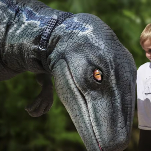 DEN DĚTÍ S PONORKOU 2025