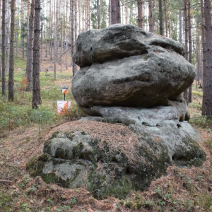 kontrola2.jpg