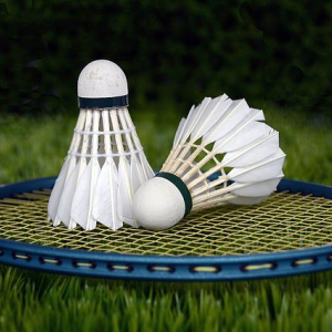 badminton-g373a644c3_640.jpg