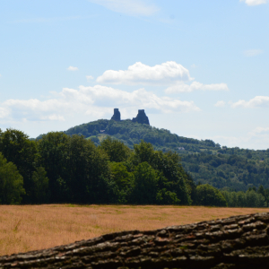 DSC_3515.JPG